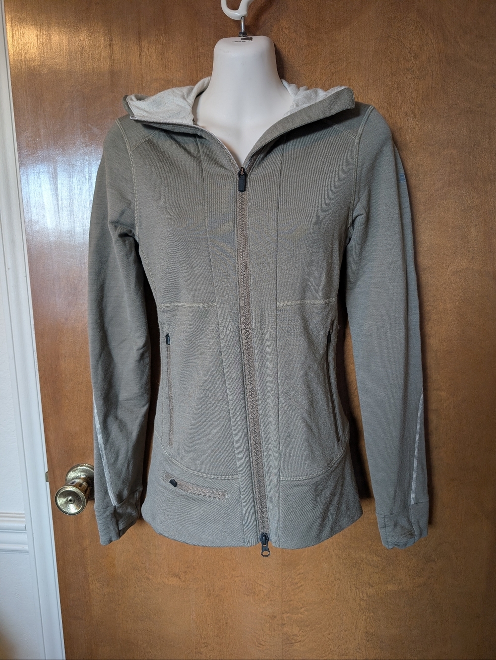 Icebreaker Green Quantum Wool Blend Full Zip Hoodie Jacket